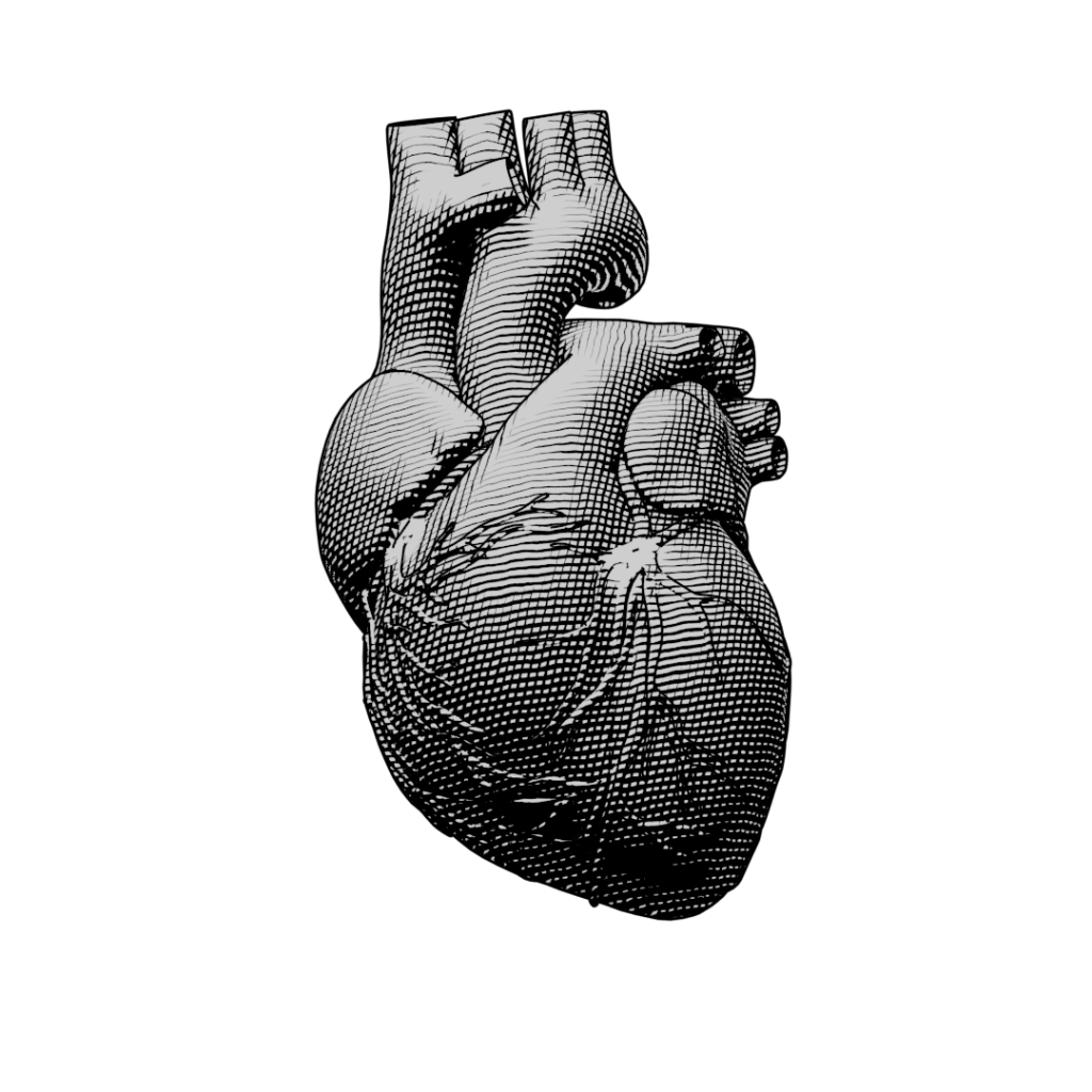 Blender NPR, black and white line art