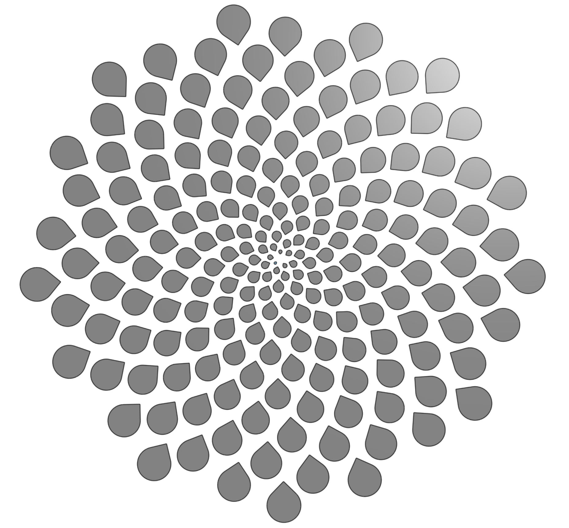 Result of a loop with a sketch driven by `i`